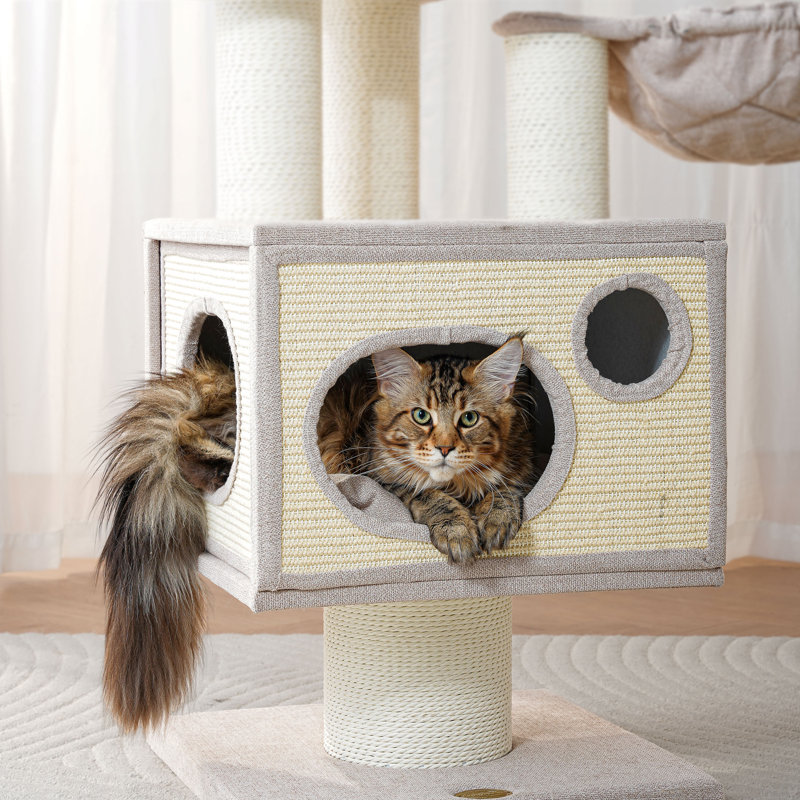Modern Multi-Level Cat Tree for Maine Coons with Spacious Condo, 48.4" H, Beige