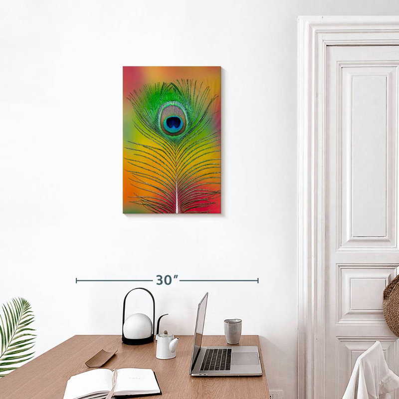 Plume de queue de paon mâle Kerner, H 24 po x l 16 po