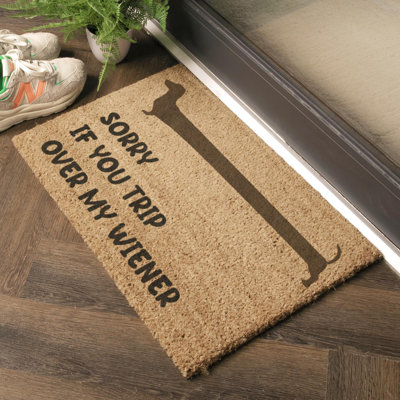 Bilyeu Non-Slip Indoor Doormat