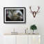 Colourful Elephant - Picture Frame Painting Print-56708786-56708787