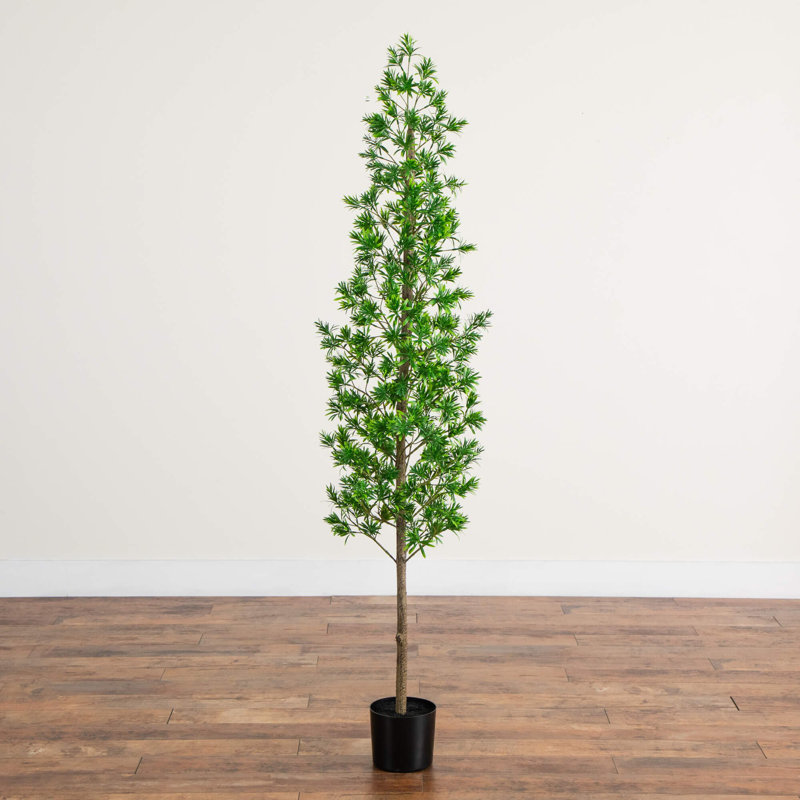 Arbre artificiel UV Podocarpus (intérieur / extérieur), H 72 po x l 18 po x P 18 po
