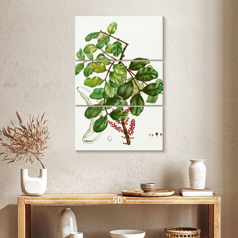 Keiri Carob Tree, 38" H x 24" W