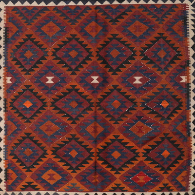 Newfane Southwestern Indoor Rug