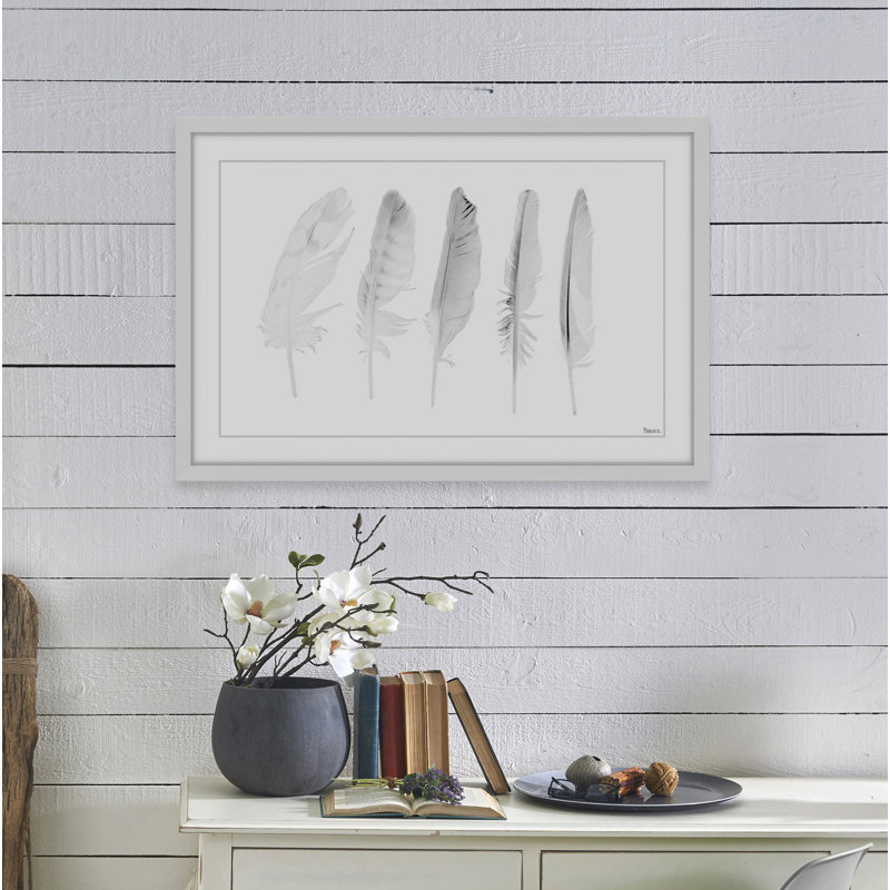 « cinq plumes blanches ii », impression encadrée, 30 po x 45 po