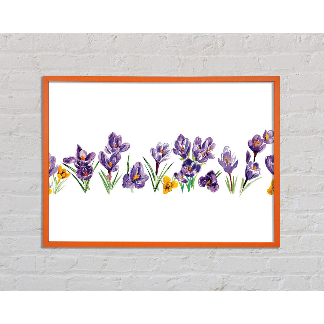 Cavan Purple Crocus - Einzelner Bilderrahmen Kunstdrucke