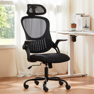 Riegelsville Mesh Office Task Chair with Headrest by Dovecove