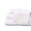 Karleena Midweight Hand Towel