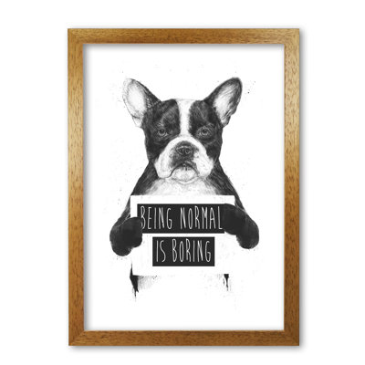 Being Normal is Boring 1 Piece Wall Art