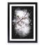 Branch of a White Cherry Blossom Tree - Picture Frame Painting Print-56842863-56842865