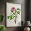 «Pretty Pink Botanicals», reproduction encadrée en bois massif 2768832