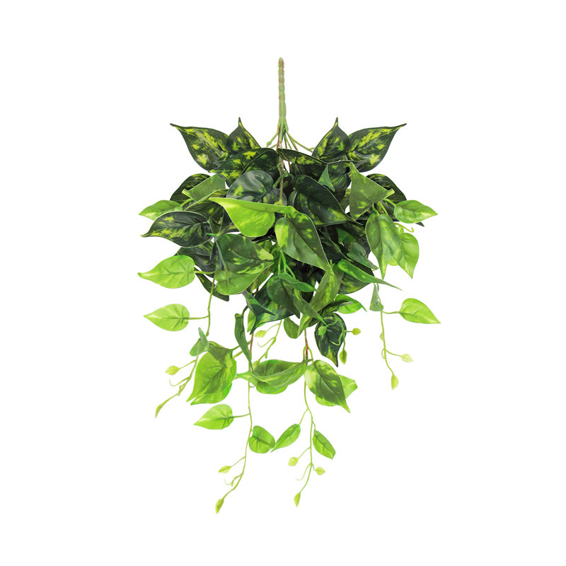 Plante artificielle suspendue lierre Pothos, H 24 po x l 12 po x P 6 po