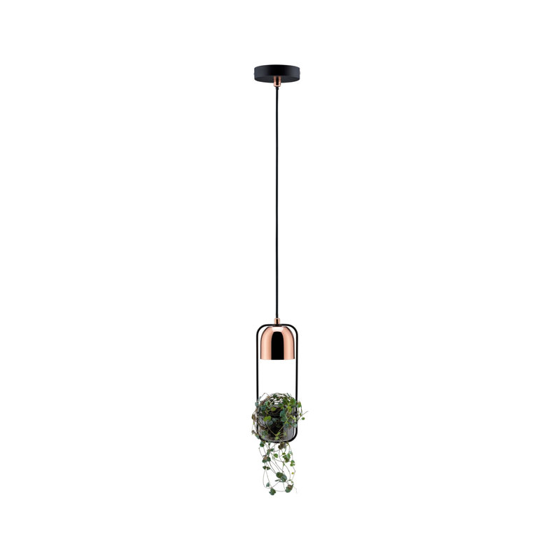 Esther 1 - Light Unique/Statement Pendant