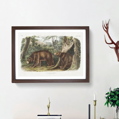 Cinnamon Bears by J.W. Audubon - Picture Frame Painting Print