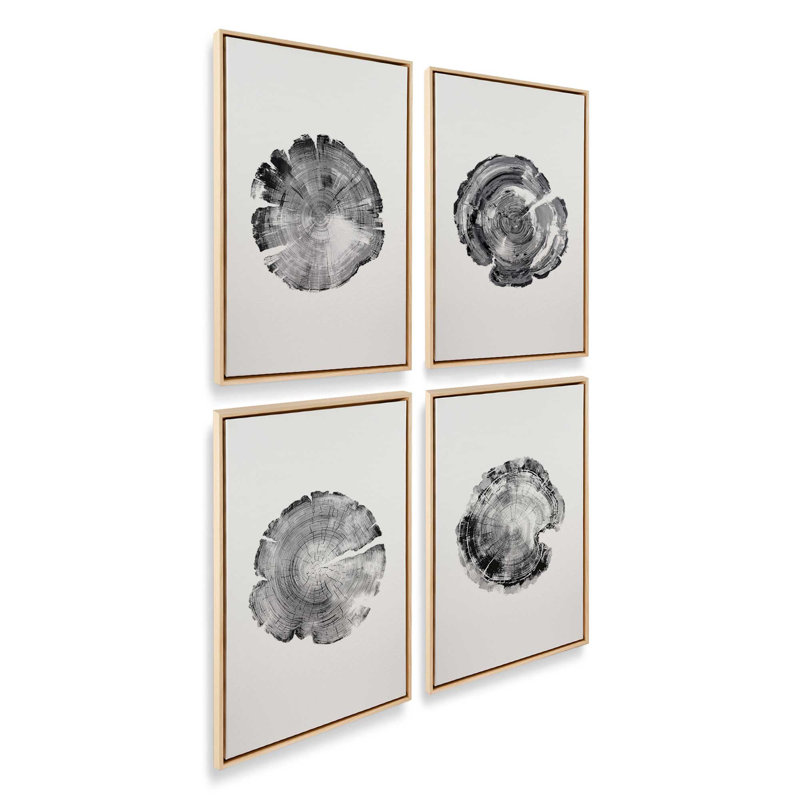 Anneaux du temps, ensemble de 4 impressions, 48 po x 32 po, Cadre flottant noir satiné