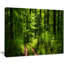 « green », reproduction de photo sur toile tendue, reproduction de photo dans une forêt sauvage-18271803-33309454