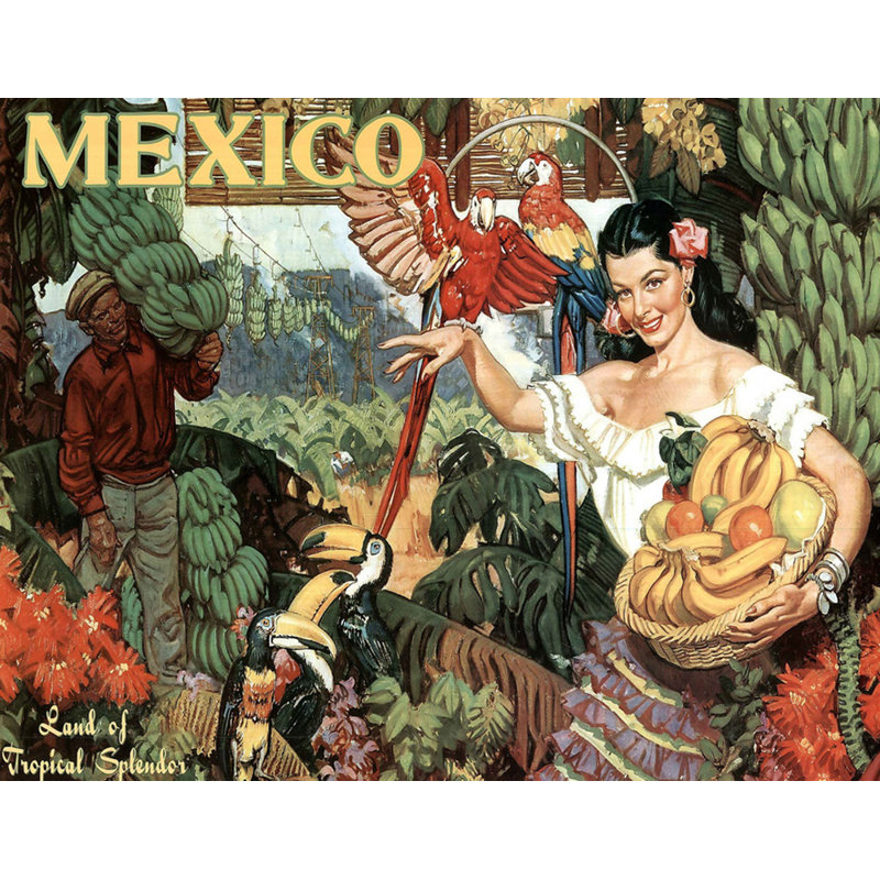 Mexique, terre de splendeur tropicale