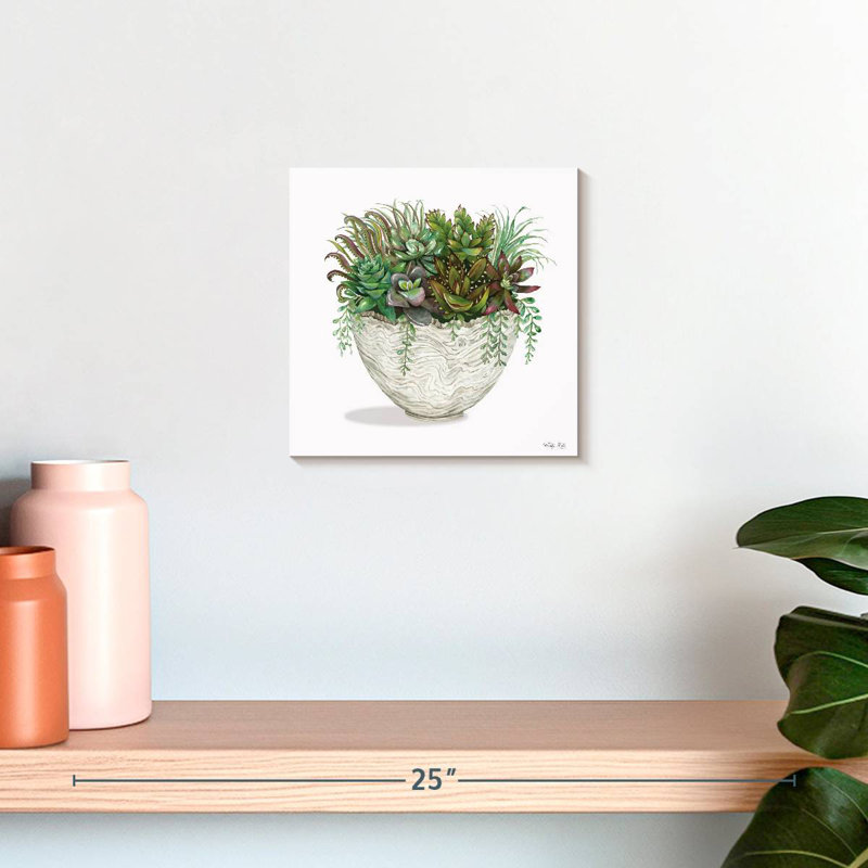 Plante grasse blanche Harnek II, H 10 po x l 10 po