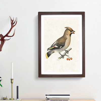 Bohemian Waxwing by Von Wright - Picture Frame Graphic Art Print