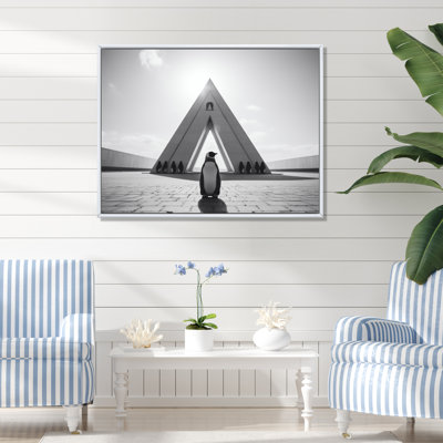 Photo de pingouin noir et blanc - art mural pingouin