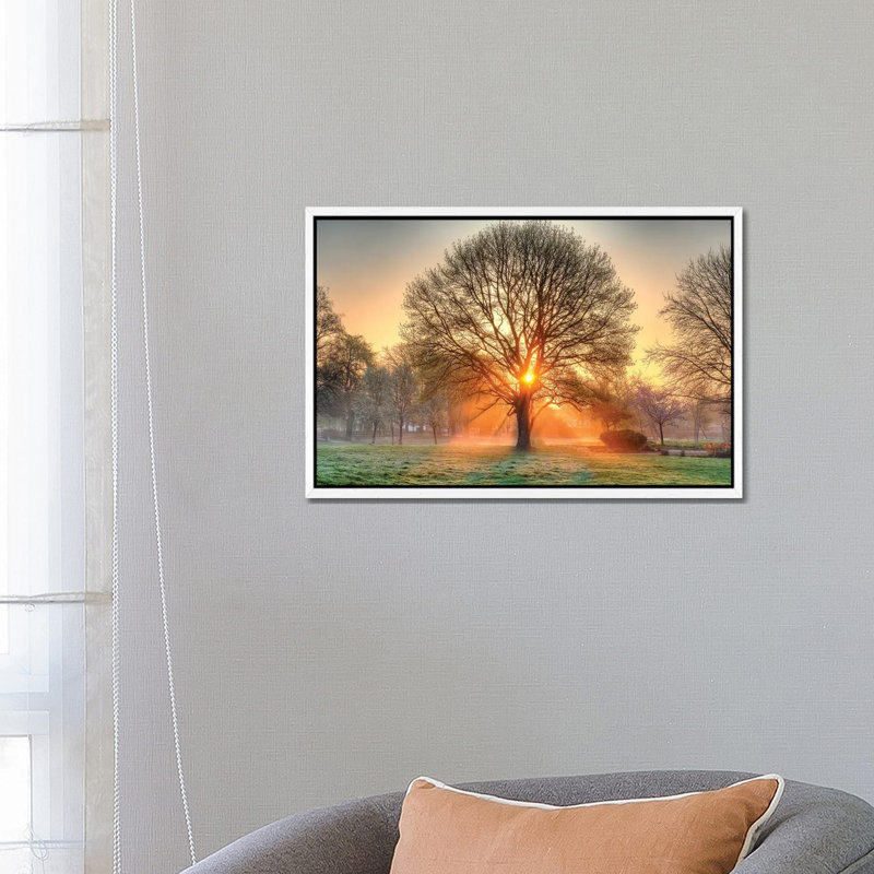 Entranced by David Gardiner - Gallery-Wrapped Canvas Giclée on Canvas, White Framed, 66.04 cm H x 45.72 cm W