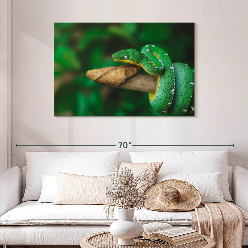 Emerald Tree Snake, 30" H x 45" W