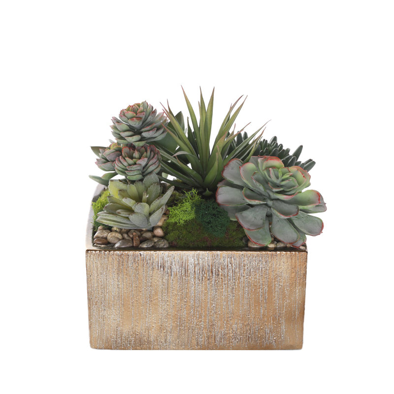 Faux Succulent in Square Etched Pot, Gold