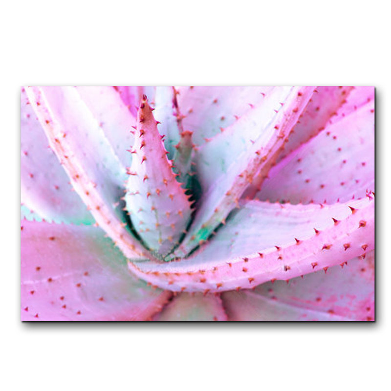 Aloès rose - photographie, H 16 po x l 20 po x P 2,5 po, Acrylique