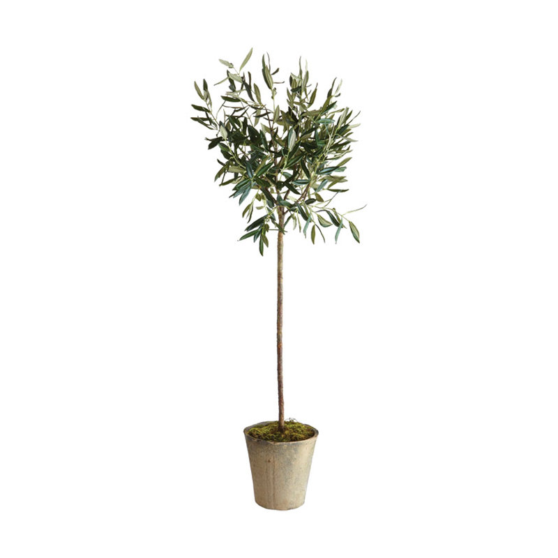 Conservatory Faux Olive Tree Tree in Ceramic Pot, 15" H x 4" W x 4" D