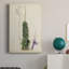 Antique Cactus IV - impression sur toile tendue-1988600974