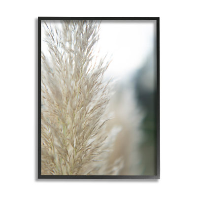 «Natural Pampas Grass», scène photographique encadrée, art mural texturé par Jason Johnson_aq-414