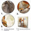 Écureuil vif III - animaux, art mural, salon-1048100307-1048100304