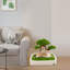 Lit pour animal en velours Daymein