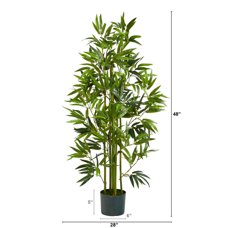 Faux Bamboo Tree in Pot, 48" H x 28" W x 28" D