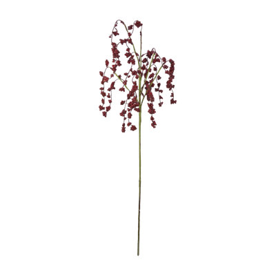 Pulvérisateur à baies willow