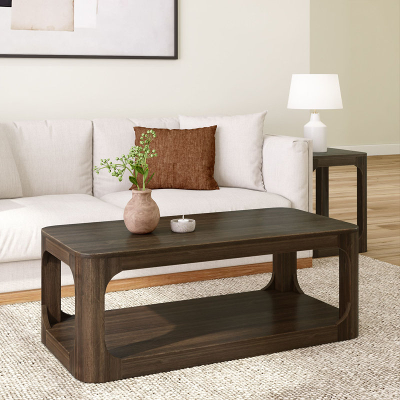 Table basse rectangulaire moderne avec tablette, H 17,75 po x L 48 po x l 24 po, Noyer
