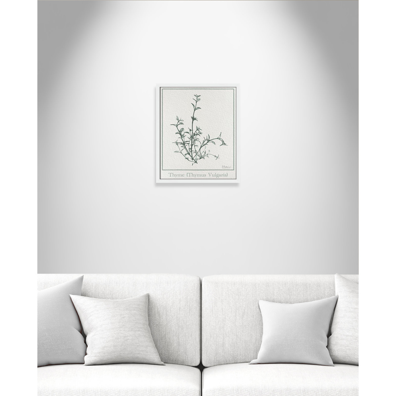 Jeanette "Thymus Vulgaris" Print, 19" H x 16" W x 1.25" D, White Framed Paper