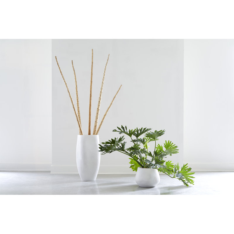 Claire Planter