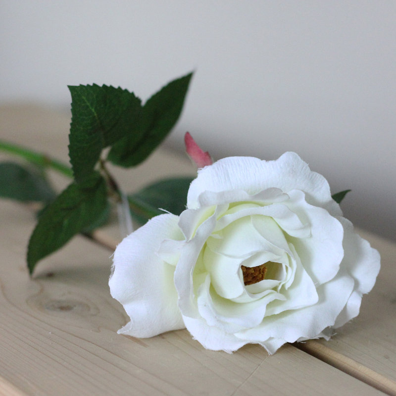 Arrangement
