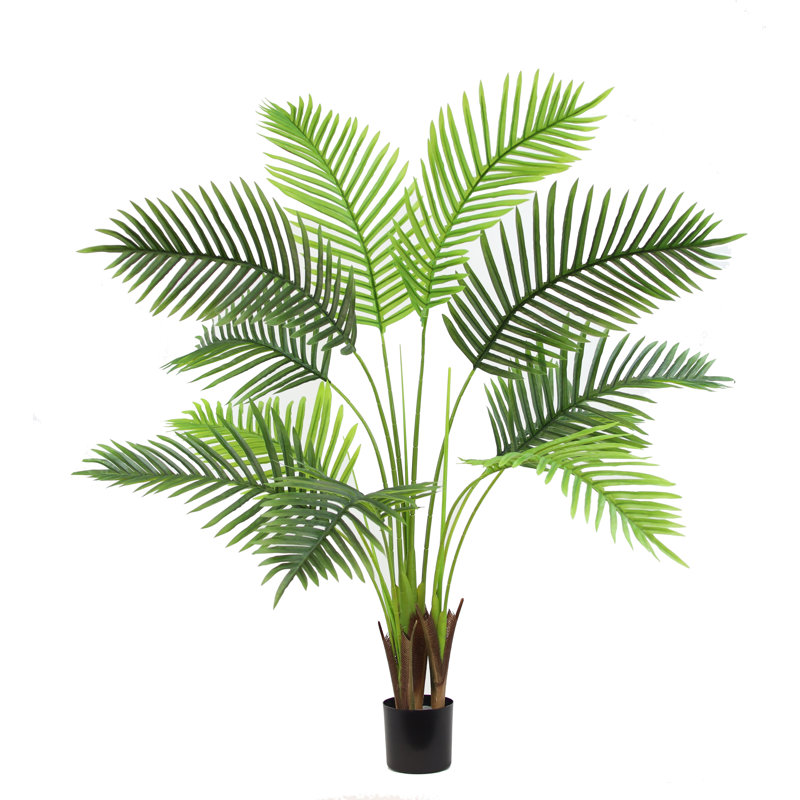 ARBRE DE PAUME 48 "PARADISE