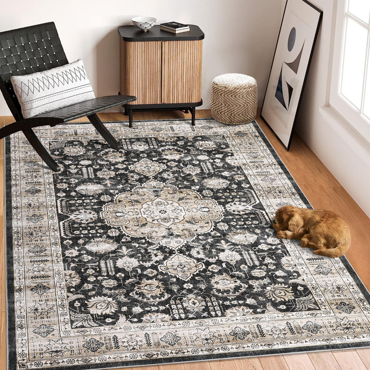 Pascarella Washable Area Rug with Non-Slip Backing