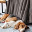 Veyo Throw Blanket-838665365-838665386