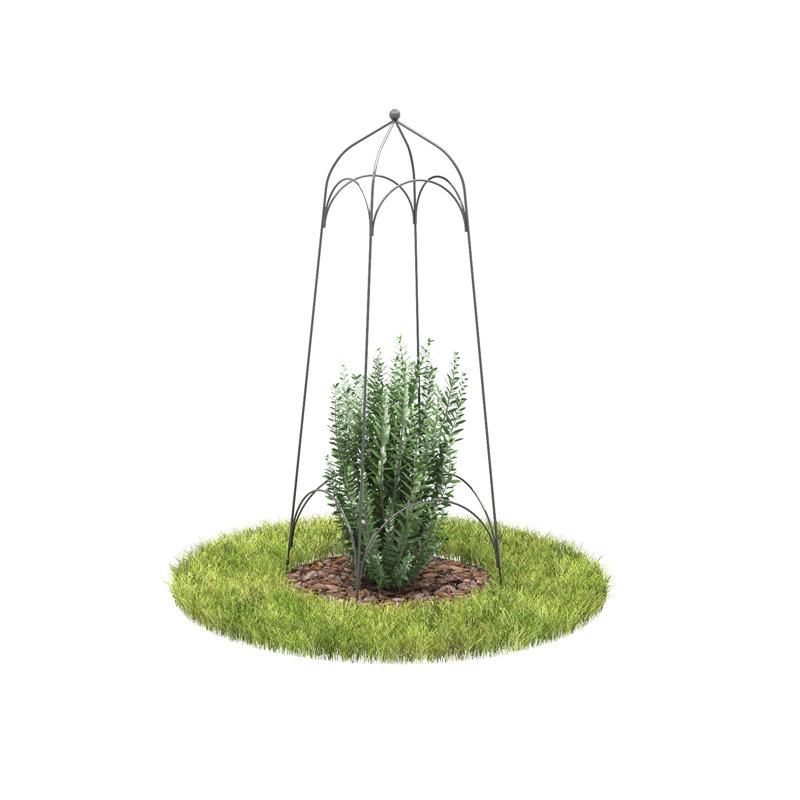 Archit Metal Plant Support, Grey, 107cm H x 38cm W x 38cm D, 4