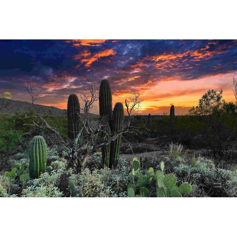 Photographie «Sunset Sunset Moonrise» par Nathan Larson, H 8 po x l 12 po, Toile tendue