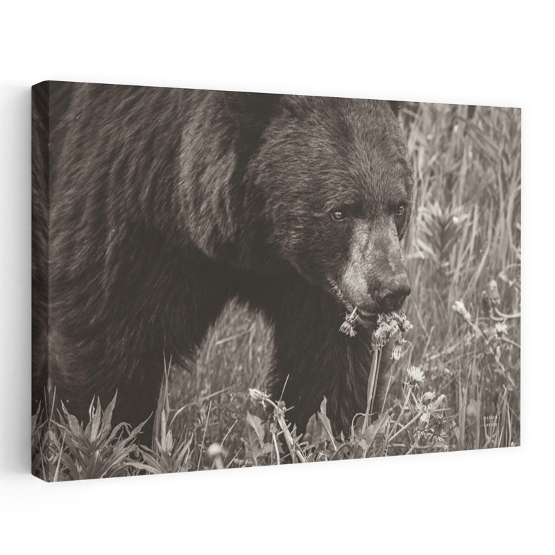 Contemporary Art Contemporary Bear Portrait Art by Nathan Larson - Wrapped Canvas Print, 40.64 cm H x 60.96 cm W