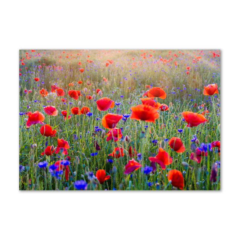 Field Flowers - Wrapped Canvas Print