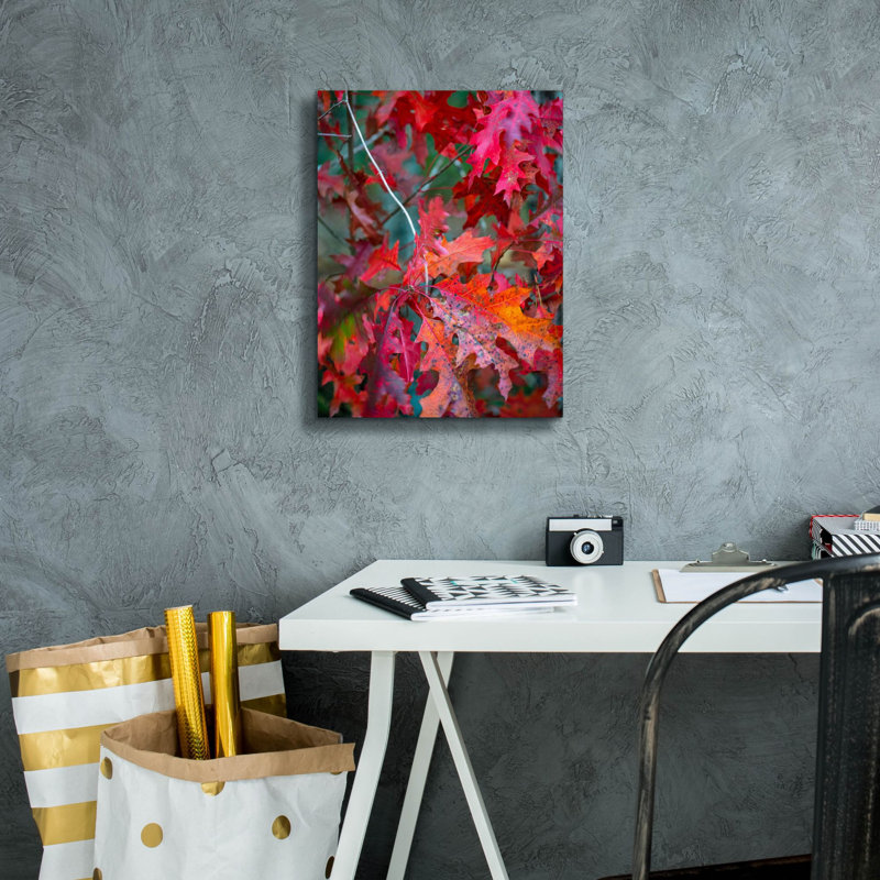  «Autumn Oak Leaves» par Danny Head, art mural sur toile, 12 po x 16 po