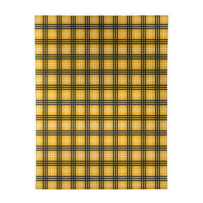 Plaid Indoor Rug