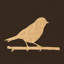 Cabin Collection Bird On A Branch Print