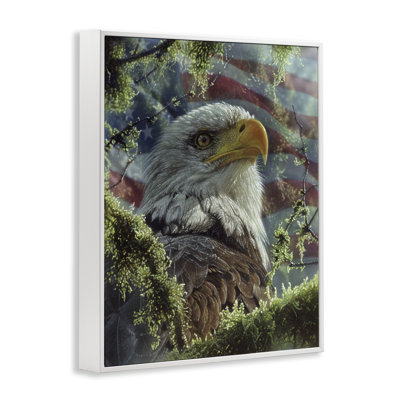 High & Mighty America Framed Giclee, design by Collin Bogle