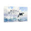 Animaux, dauphins, saut, océan, vagues, ciel, mouettes-1066458633